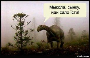 О великий и всемагушчий протоукроп!!!
Уровень твоего интеллекта настолько высок, что я не понял и половины написанного тобой... Вернее - не доосмыслил... кароч, прости нас, тупых москалей.
Счастья вам и удачи в борьбе с превосходящими силами! Наш разум ТУПО ОТКАЗЫВАЕТСЯ понять ваши действия, но ведь это не мудрено - вы же протоукры, с девственно чистым сознанием, оставшимся со времен динозавров...