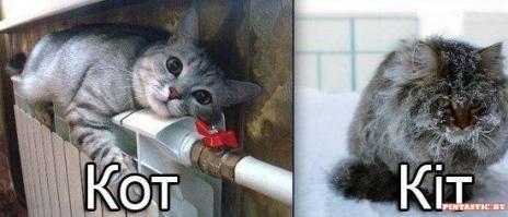 Без намеков )))