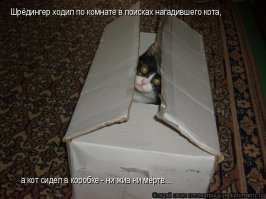 10 котов, прославившихся благодаря своему удивительному окрасу