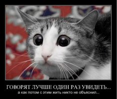 Что я только что прочитал? Автор, КАК ЭТУ х.у.и.т.у (в основном, бОльшую часть) развидеть? И из статьи не совсем ясно - Каклы 3.14дарасы или нет?
