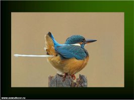 Точечное бомбометание, ухле...