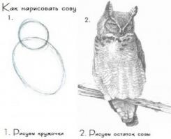 Спортивная площадка для молодежи своими руками 