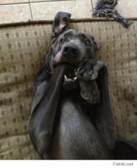 Мне тебя одного стало мало