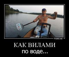 Фотоподборка за 11.08.2014