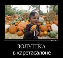 Фотоподборка за 02.10.2014