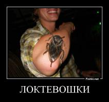 Фотоподборка за 07.11.2014