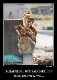 Фотоподборка за 25.11.2014