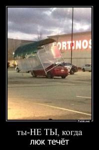 Фотоподборка за 26.11.2014