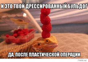 Мы похожи больше, чем можем себе представить