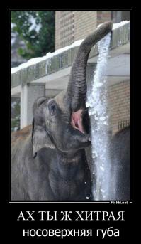 Фотоподборка за 26.11.2014