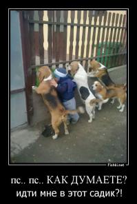 Свой среди чужих, чужой среди своих 