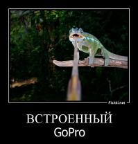 Фотоподборка за 03.12.2014