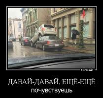 Фотоподборка за 03.12.2014