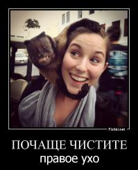 Фотоподборка за 05.12.2014