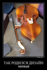 Фотоподборка за 05.12.2014