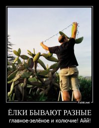 Фотоподборка за 09.12.2014