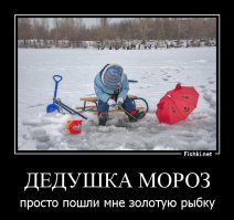 Фотоподборка за 22.12.2014