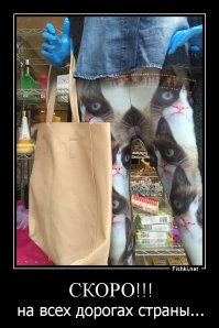 Фотоподборка за 16.01.2015