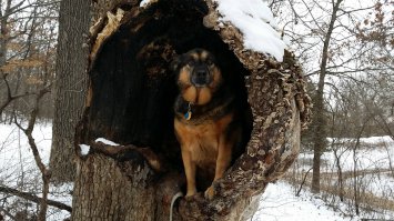 Фотоподборка за 16.01.2015