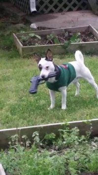 Хзяин, мне больно на тебя смотреть...