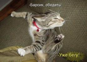 Сволочь....захлебнулся слюной =(