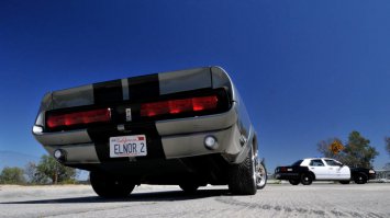 "Элеонор" отказались купить на аукционе