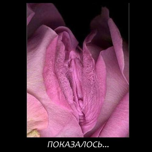 Фишкина солянка. Часть 44