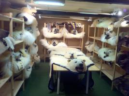 24 причины побывать в Норвегии