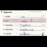 Папа плакал и просил его не описывать...