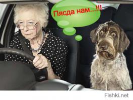 Веселые автокартинки