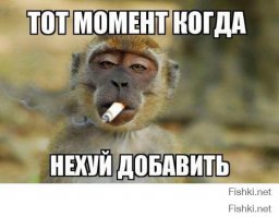 Продается Bentley Майка Тайсона
