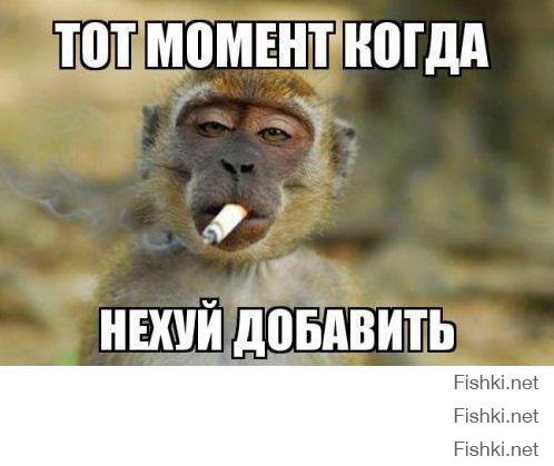 Продается Bentley Майка Тайсона