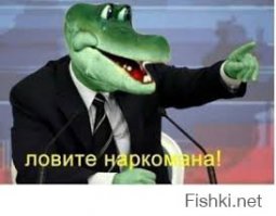 26 продуктов, которые отчаянно не хотят быть съеденными  