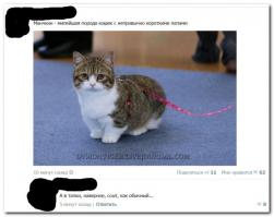 Только в низкобортные...