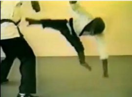 Реакция шимпанзе на фокусы