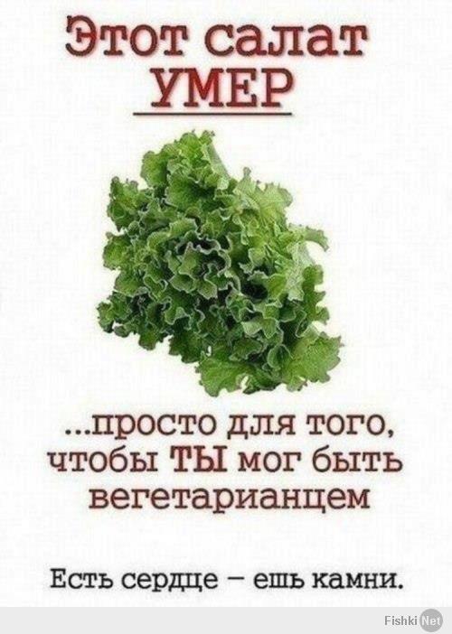 Вы серьёзно?  Такие реально есть?