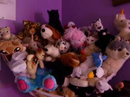 найди кота!!!))))))