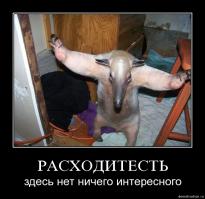 Популярные артисты старого цирка