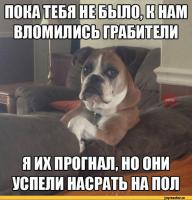 К фотке, где старший брат защитит...
Просто очень похож ; )