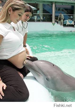  Интересные факты о дельфинах