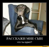 Не человеческий шок!