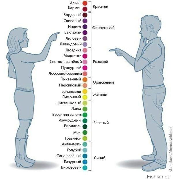 Смешные комментарии из социальных сетей 18.09.14