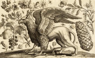 Вот с кого грифонов рисовали