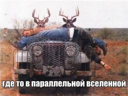 В параллельной вселенной