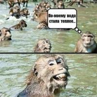 Снежные обезьяны принимают SPA-процедуры в горячих источниках