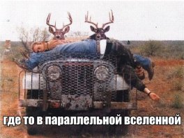 Мир - где всё наоборот