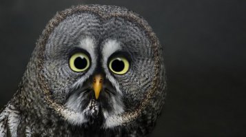 Ага, сегодня утром в новостях по телику показывали. Идея прикольная. Не с кем выпить? Вот тебе компания! ;)