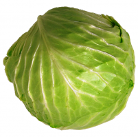 Да это же капуста!