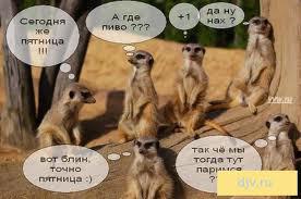 Встреча коллекционеров пивной атрибутики
