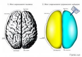 А что делать, если у каклов интеллекта только на картинки хватает:)